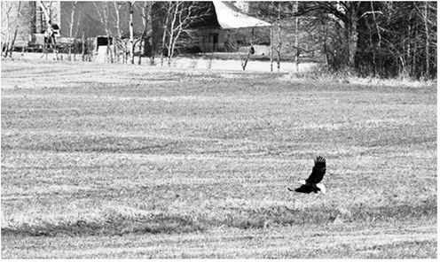 Regional state legislature races beginning to take shape