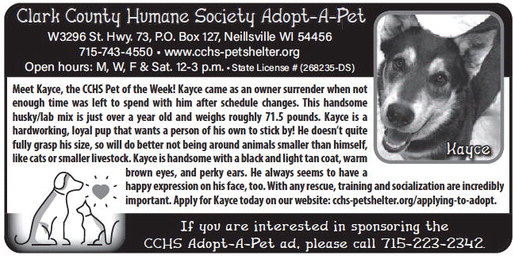 recordgleaner_20260415_trg-2026-04-15-0-009_w-or9_art_2.xml