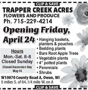 starnews_20260416_tsn-2026-04-16-b-016_art_12.xml