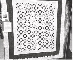 Judging results from the 2026 Medford Area Quilt Show