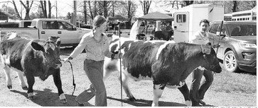 Results of 2026 Northwoods Premiere Beef Show held May 15