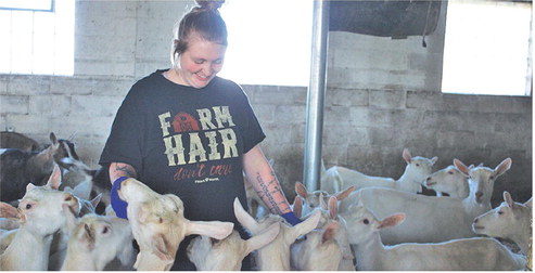 Goat Crazy Dairy: A different breed of operation