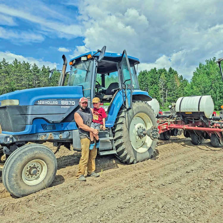 Sunflower project starts on Colby field