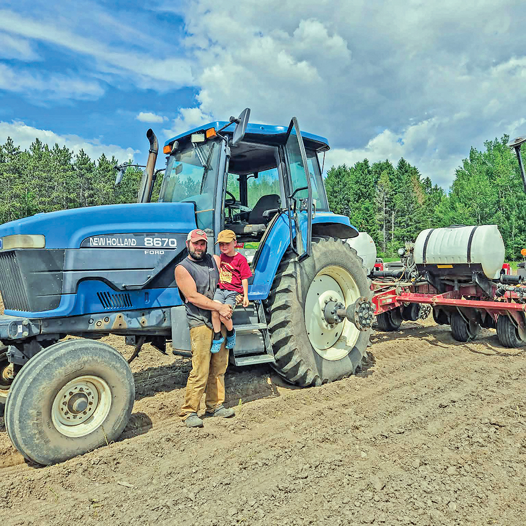 Sunflower project starts on Colby field