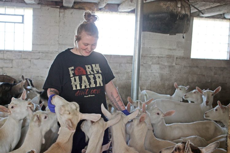 Goat Crazy Dairy: A different breed of operation
