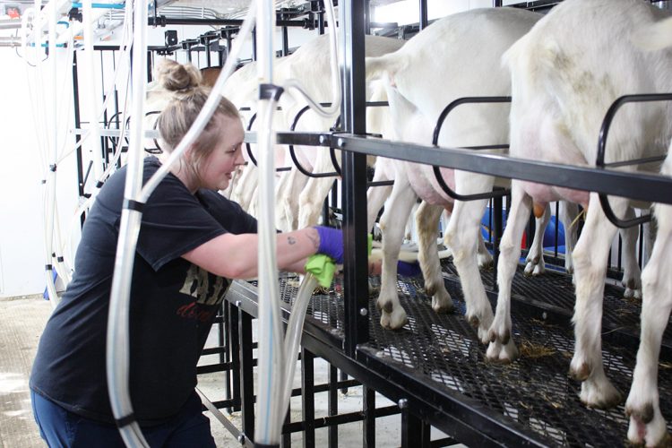 Economic health starts on the farm