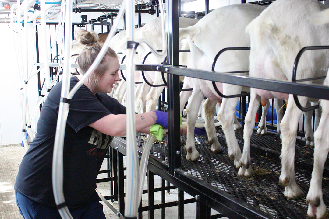 Economic health starts on the farm