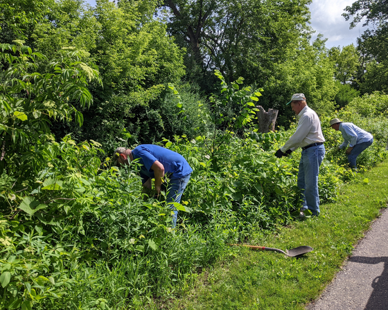 Take action to prevent spreading invasive species