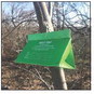 Surveying to begin to detect spongy moths