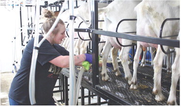 Dairy goat farmer Alicia Brost seeks to grow her farm operation