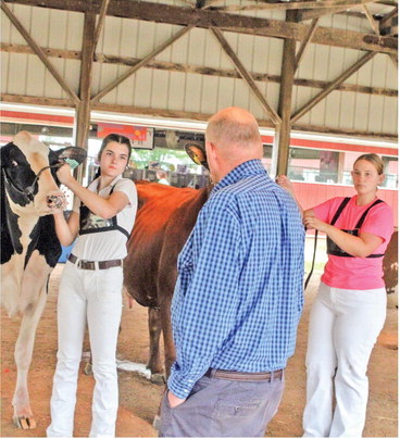 Results from the 2026 Taylor County Fair by department