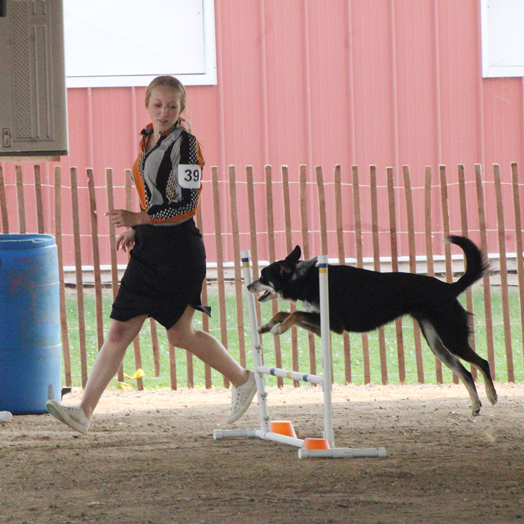 Taylor County Fair runs July 23-26