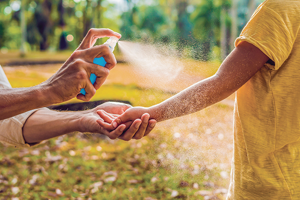 Protect yourself from bites and stings this summer Protect yourself from bites and stings this summer