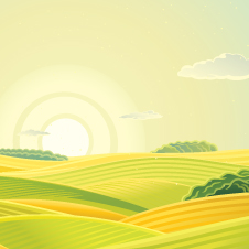 Producers reminded to file crop acreage reports on time