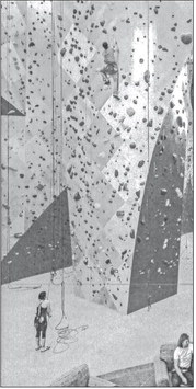 More info sought on climbing gym proposal More info sought on climbing gym proposal