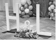 ADRC Brings Hope and Light to Taylor County