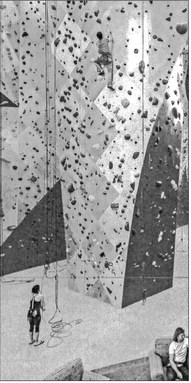 More info sought on climbing gym