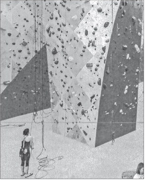 Climbing gym proposed for county site