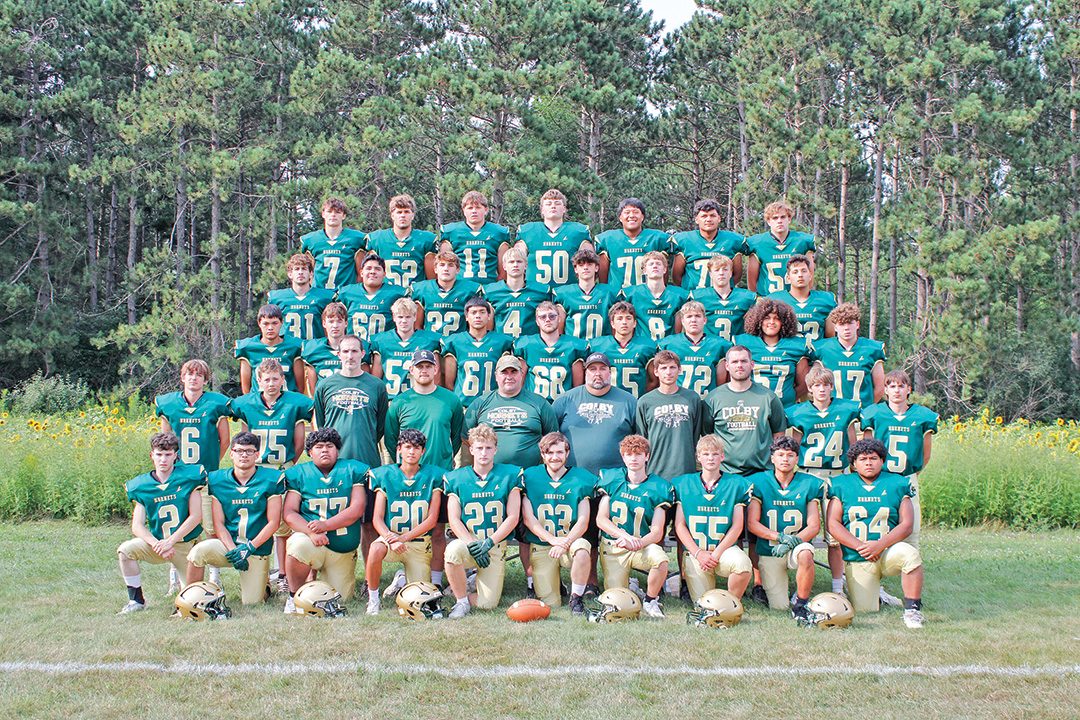 Hornets aim to use experience gained to return to form Hornets aim to use experience gained to return to form