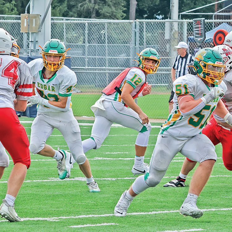 Wildcats shut out the Hornets