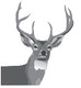 Become a community scientist by surveying wildlife for the DNR