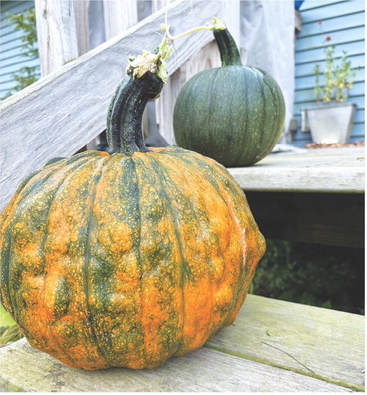 Garden Grow? *