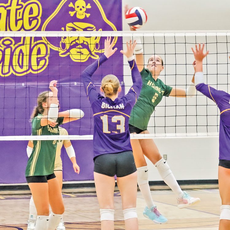 Hornets fall to Gilman, go 2-3 in Sparta tournament