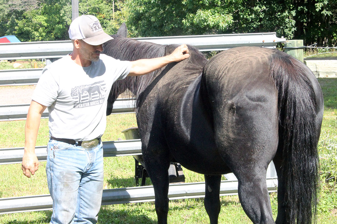 Coming Home. Operation Horses Heal supports veterans and their families