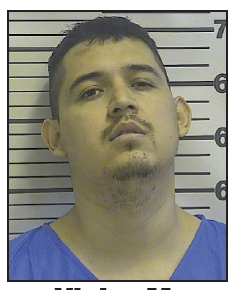Accused murderer to stand trial on insanity plea
