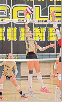 Hornets win home opener over Greenwood
