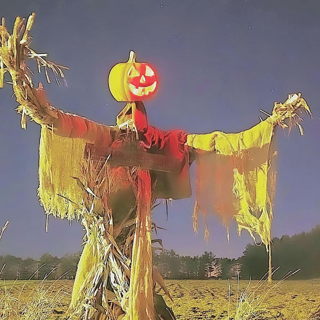 Once more into the woods…Colby’s Haunted Trail open this weekend