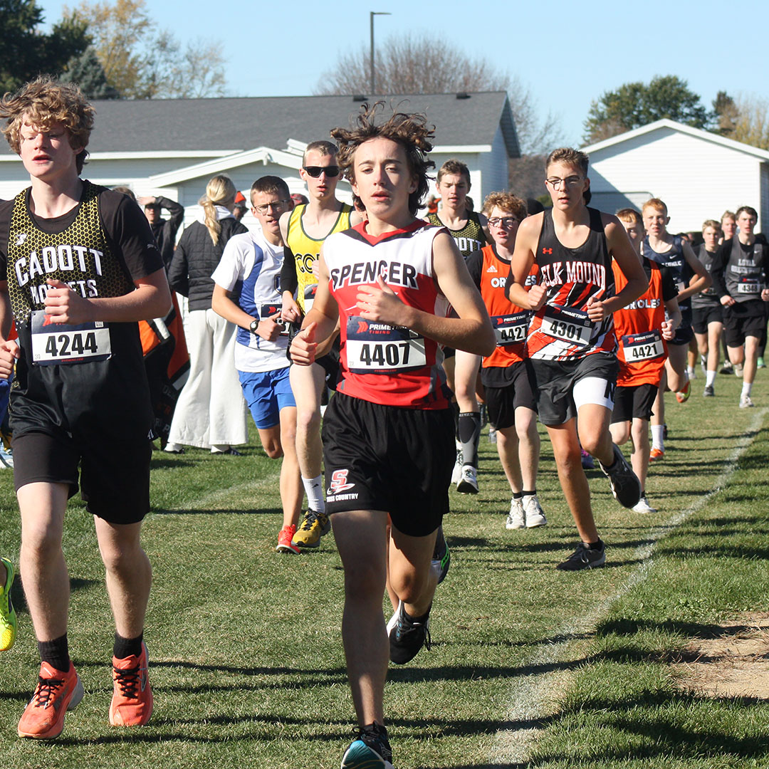 Area cross country teams compete at conference