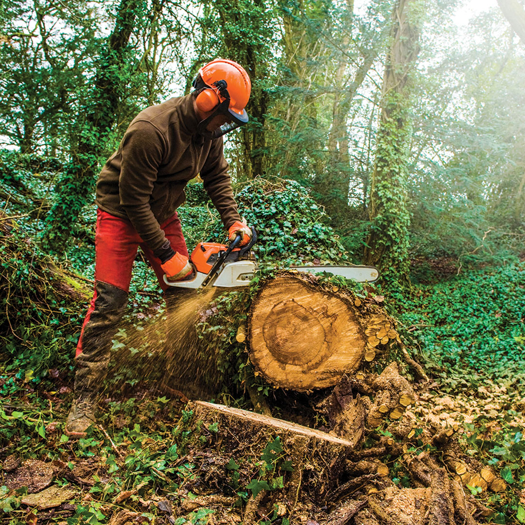 Wisconsin’s wood products tell a story to connect us all