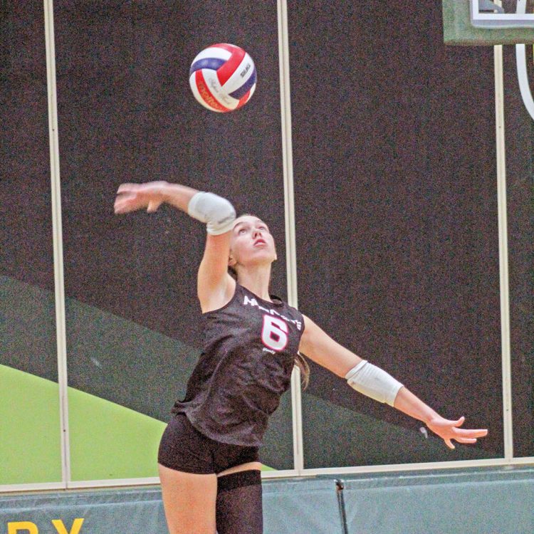 Hornets suffer losses to Columbus, Elk Mound