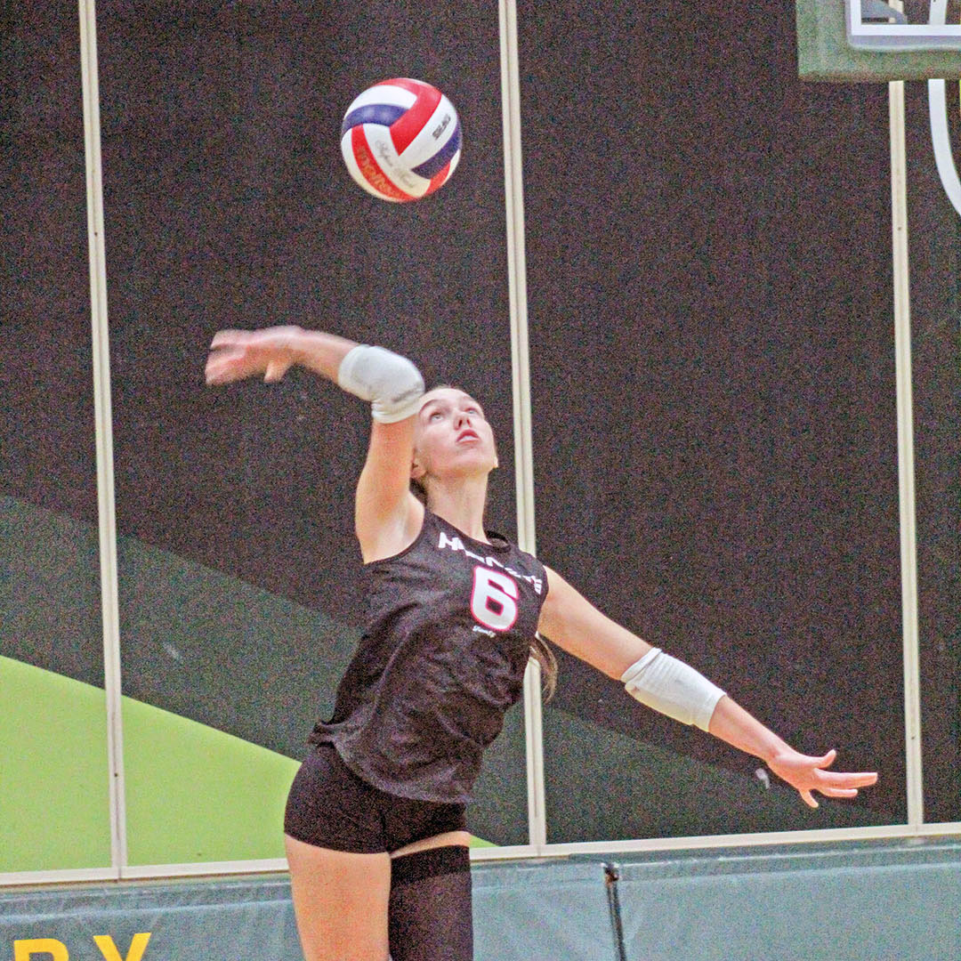 Hornets suffer losses to Columbus, Elk Mound Hornets suffer losses to Columbus, Elk Mound
