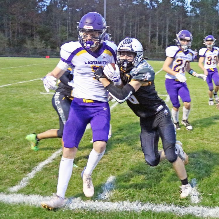 Hornets hack down the Lumberjacks for the win